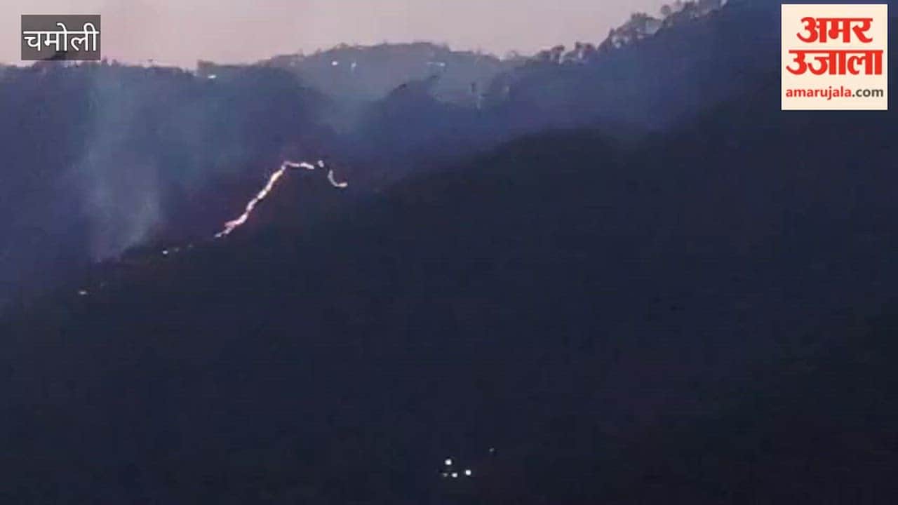 VIDEO: Fire Erupts in the Forests of the Pindar Range, Badrinath Forest Division