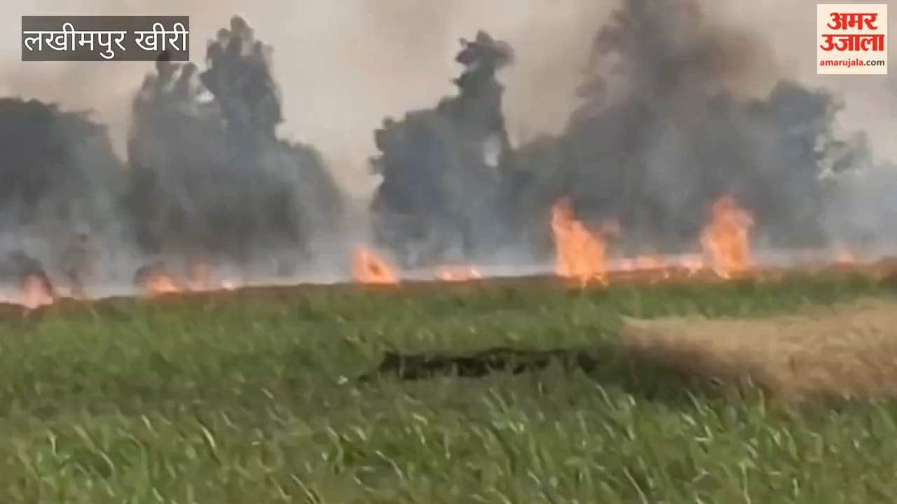 11 bigha wheat crop caught fire in Lakhimpur Kheri