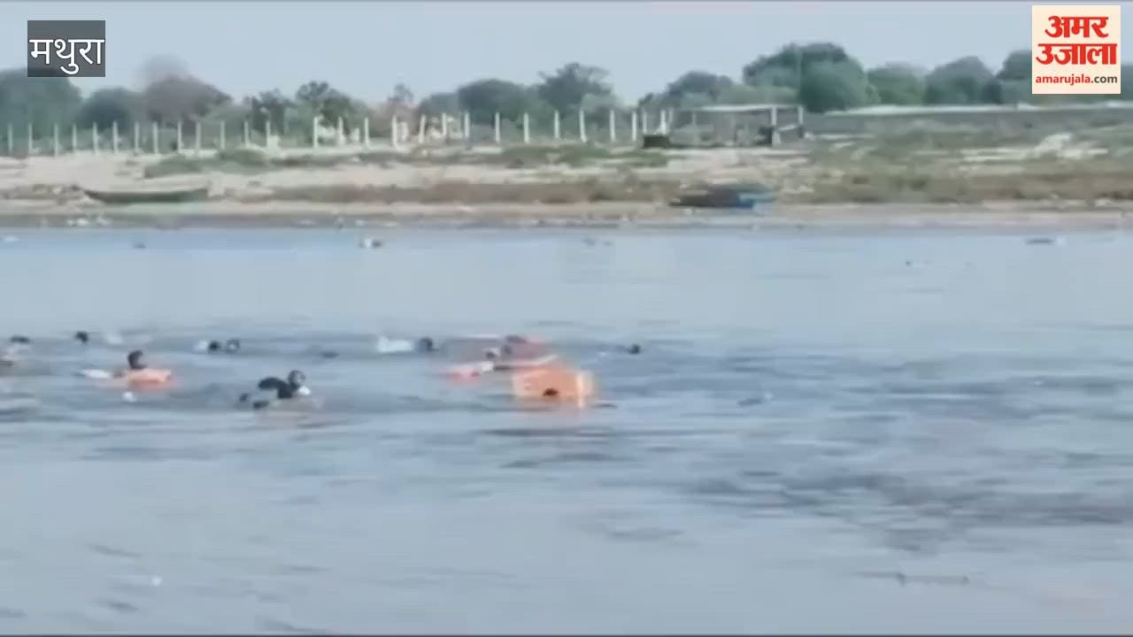 Mathura Boat Accident Live video of accident full story from an eyewitness
