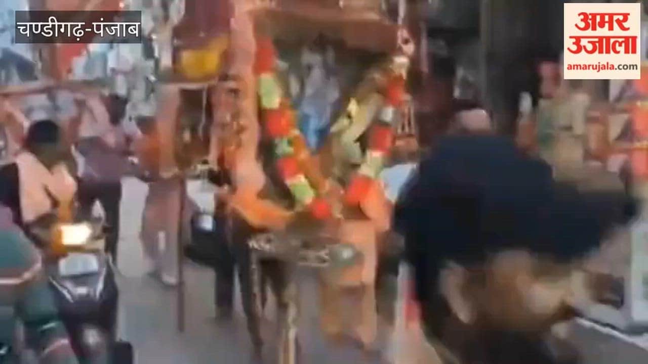 A procession of Baba Balak Nath was taken out in the city of Ferozepur.