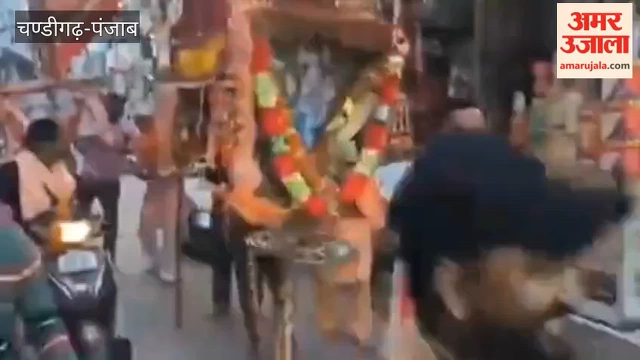 A procession of Baba Balak Nath was taken out in the city of Ferozepur.
