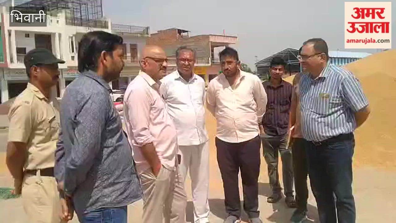 Loharu SDM Inspects Crop Procurement at Dhigawa Mandi in Bhiwani