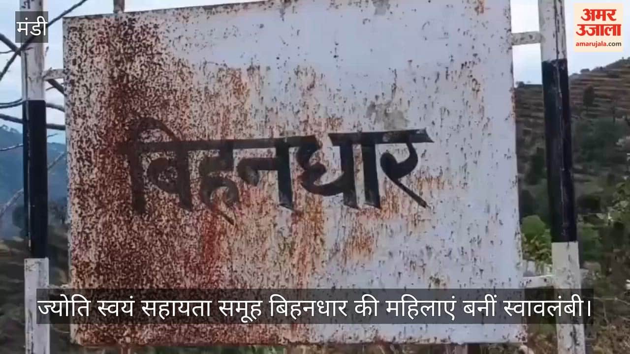 Mandi: Women of the Jyoti Self-Help Group in Bihandhar Become Self-Reliant