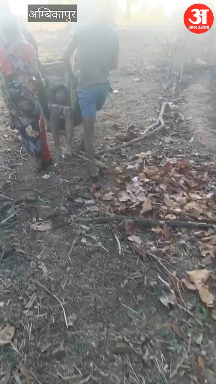 Drunken Father Attacks Son with Arrow Youth Seriously Injured Hospitalized in Ambikapur