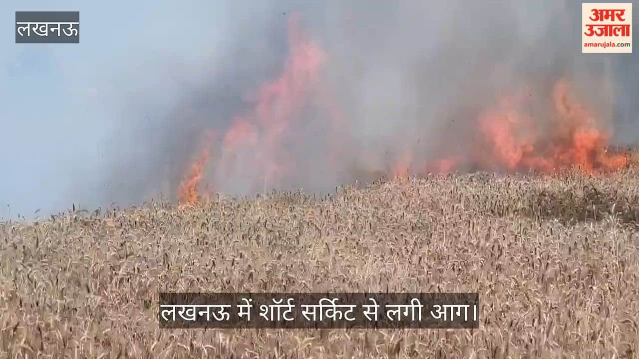 VIDEO: लखनऊ में शॉर्ट सर्किट से लगी आग, पांच बीघा गेहूं की फसल राख