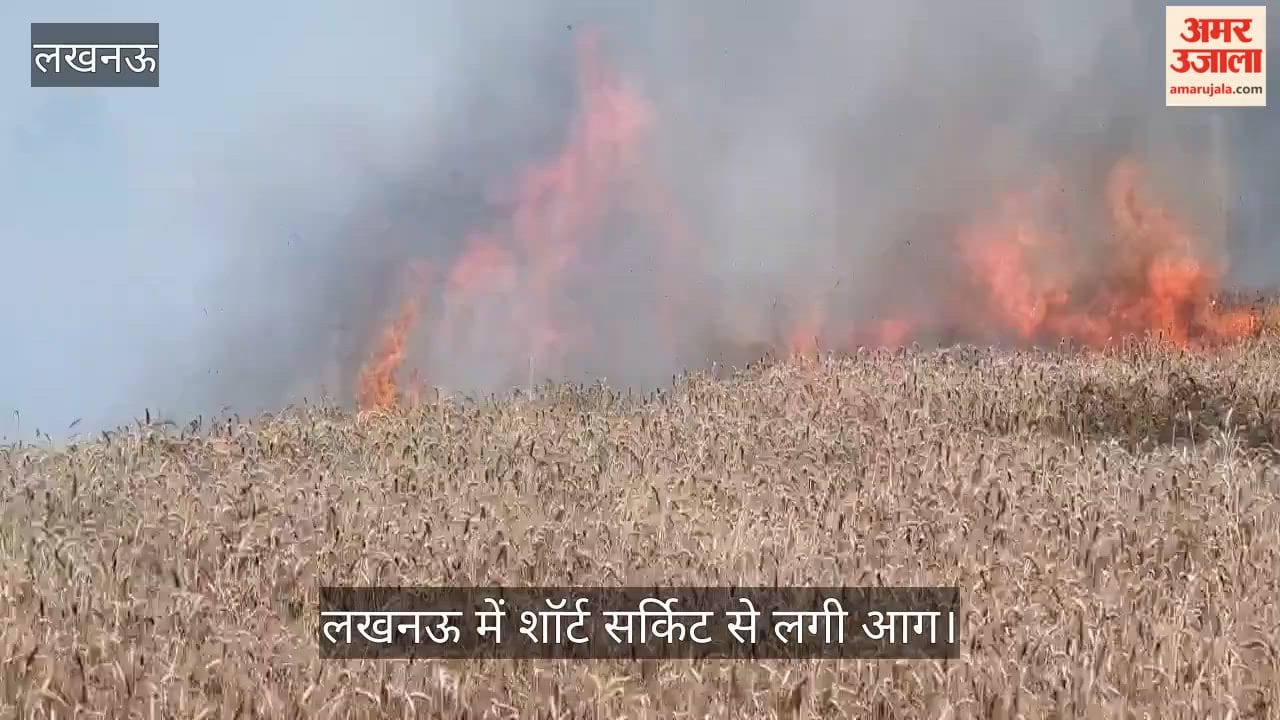 VIDEO: लखनऊ में शॉर्ट सर्किट से लगी आग, पांच बीघा गेहूं की फसल राख