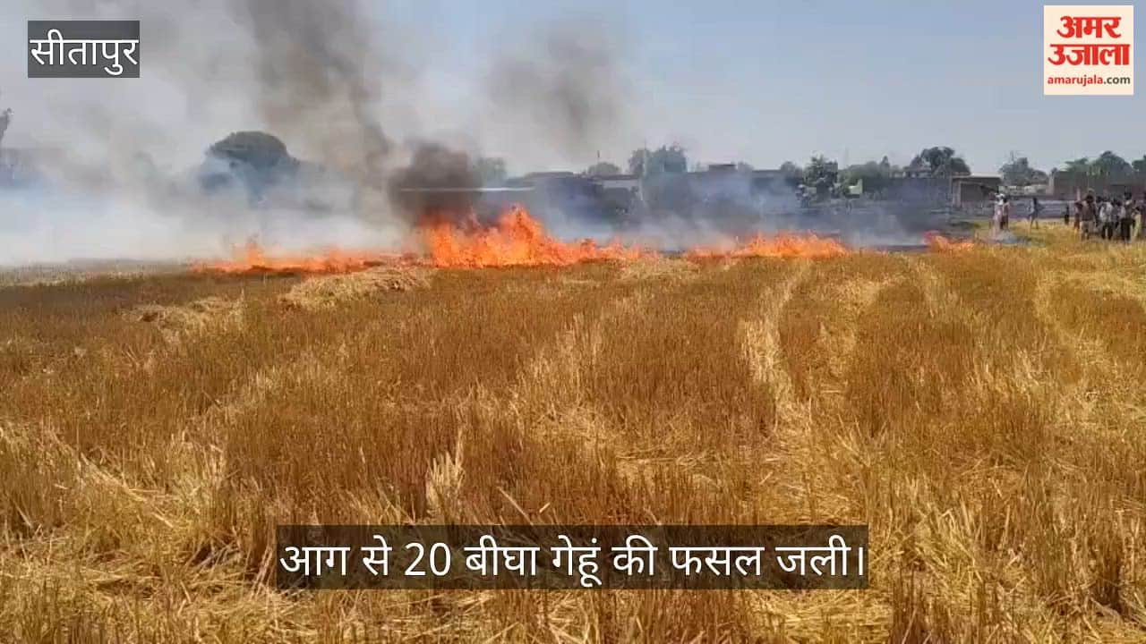 सीतापुर में एचटी लाइन का तार टूटा, निकली चिंगारी से लगी आग से 20 बीघा गेहूं की फसल जली