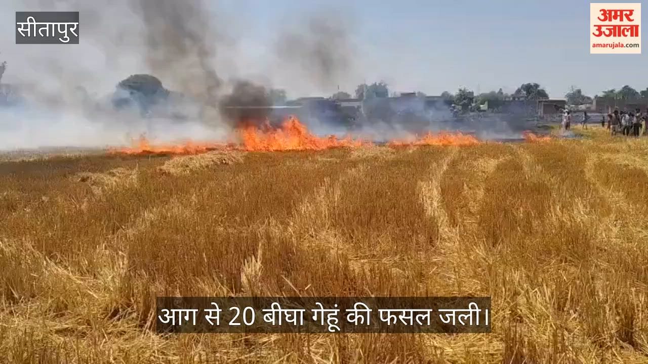सीतापुर में एचटी लाइन का तार टूटा, निकली चिंगारी से लगी आग से 20 बीघा गेहूं की फसल जली