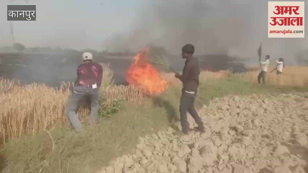Ghatampur: Wheat Crop Catches Fire; 40 Bighas of Crop Reduced to Ashes