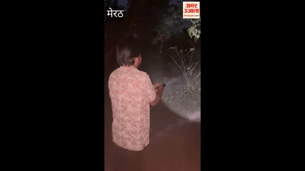 Leopard spotted in graveyard, panic spreads in village