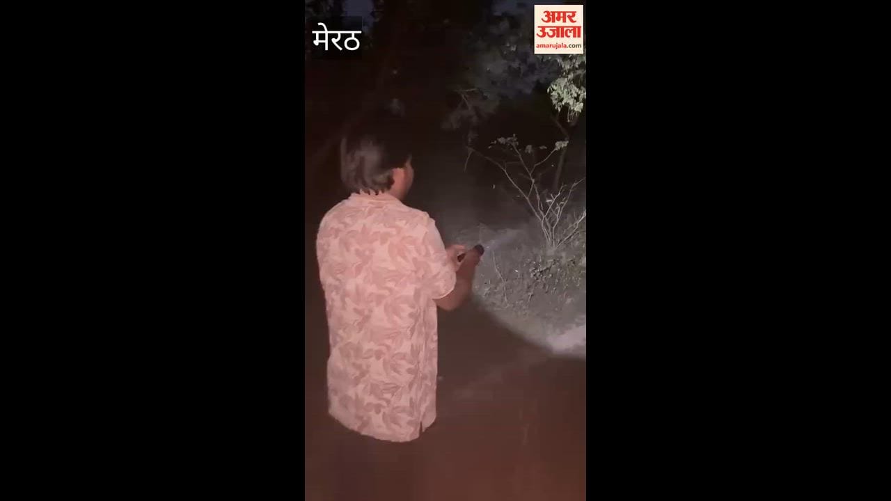 Leopard spotted in graveyard, panic spreads in village