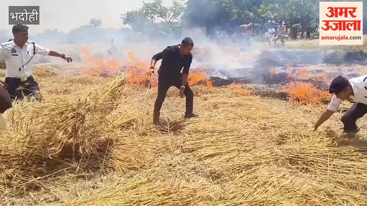 Harvested Crops in Field Catch Fire Due to Negligence of Miscreants