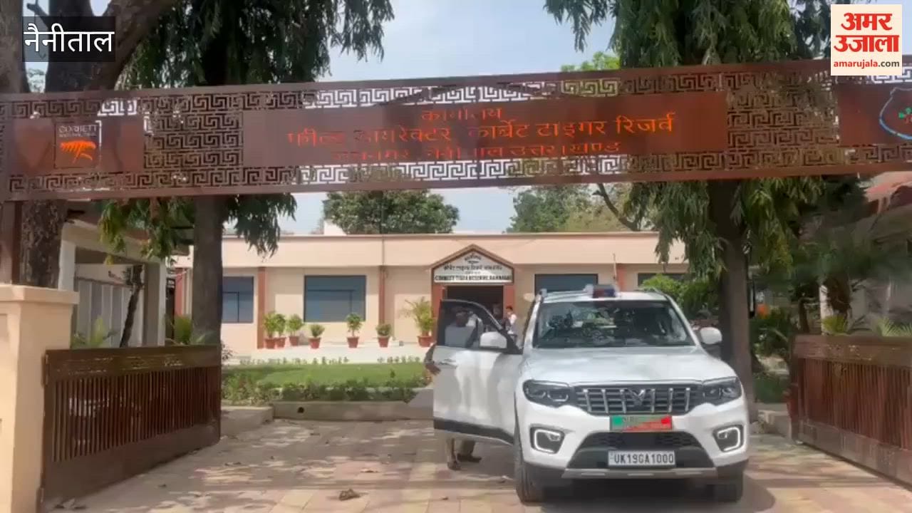 The number of foreign tourists has increased in the Corbett Tiger Reserve in Ramnagar in the last four years