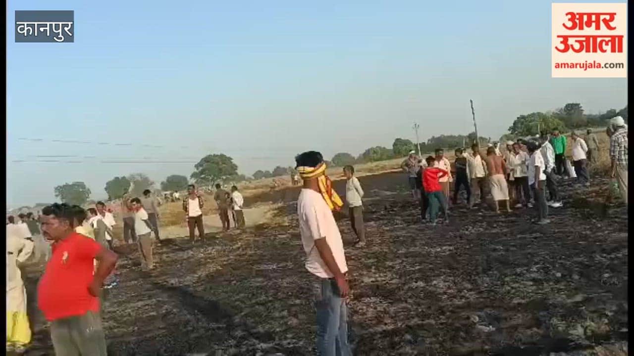 Three Bighas of Wheat Crop Destroyed After Coming into Contact with 11,000-Volt Power Line