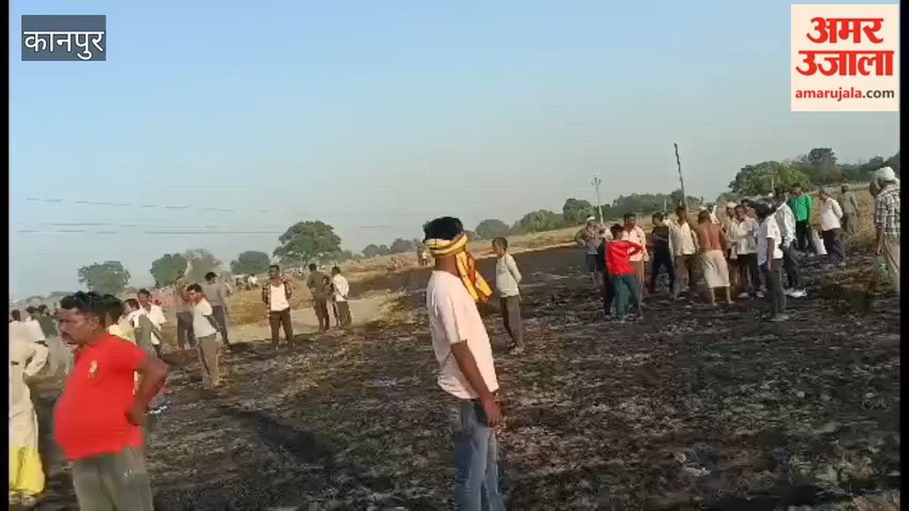 Three Bighas of Wheat Crop Destroyed After Coming into Contact with 11,000-Volt Power Line