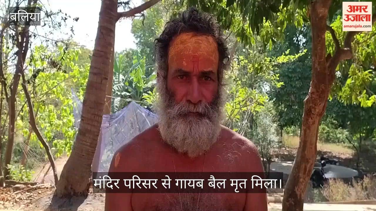 Bull goes missing from temple premises found dead two youths apprehended