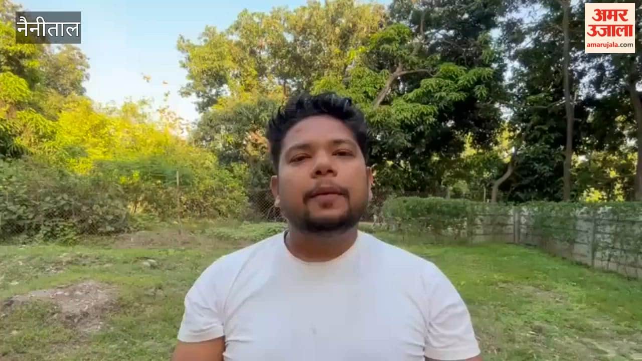 tigress was rescued from the Phaton Zone and released into the wild