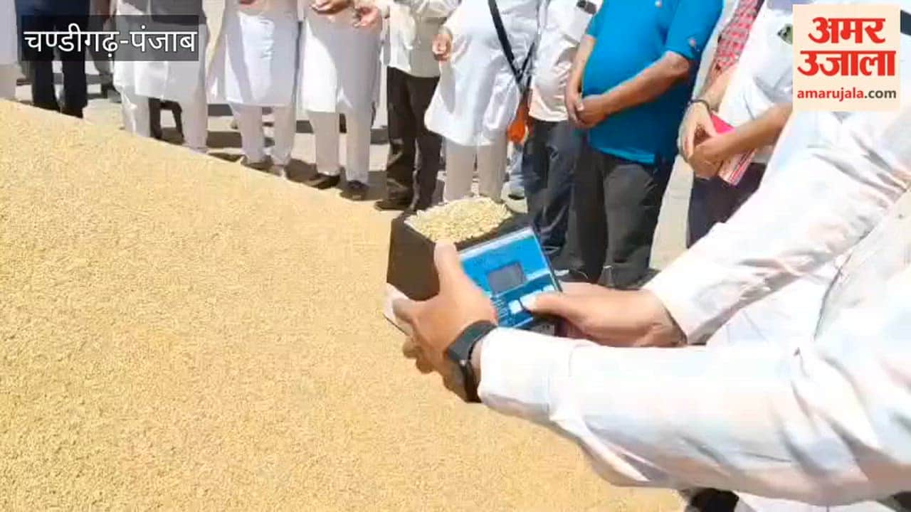 Wheat Procurement Begins in Zira