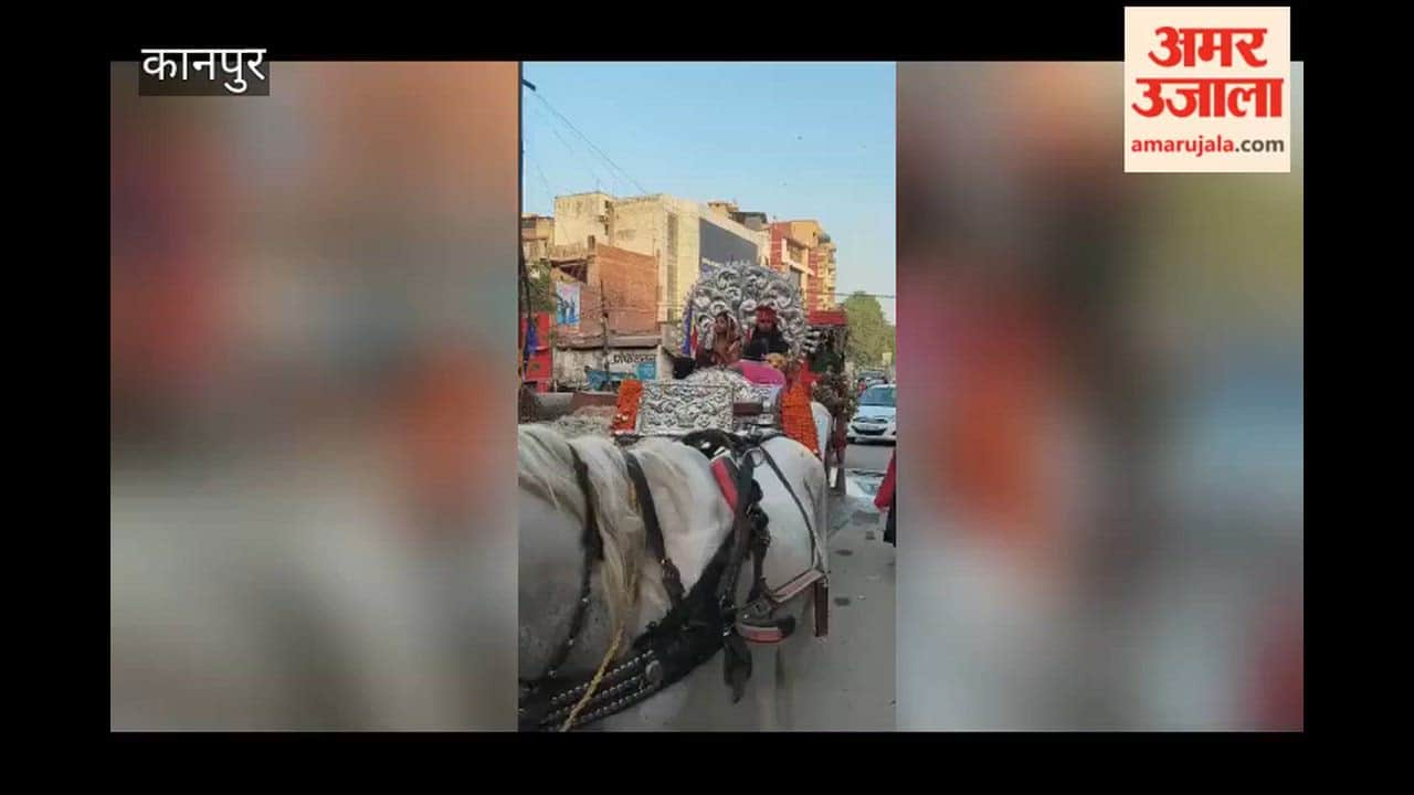 Kanpur: Procession Held on Dr. Bhimrao Ambedkar's 135th Birth Anniversary