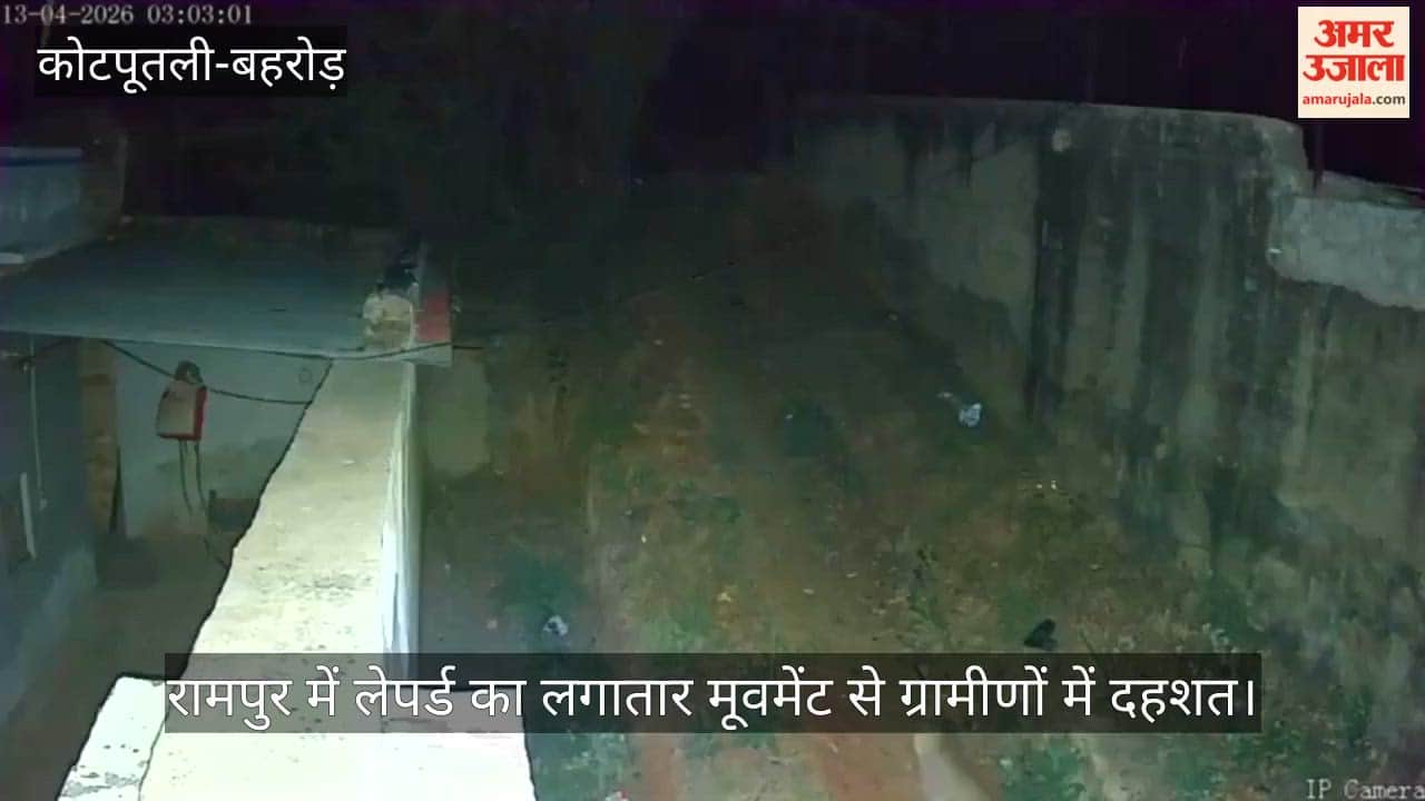 bansur rampur leopard attack cctv forest department rescue rajasthan news