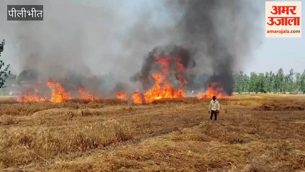Fire in a wheat field in Bilsanda area of Pilibhit