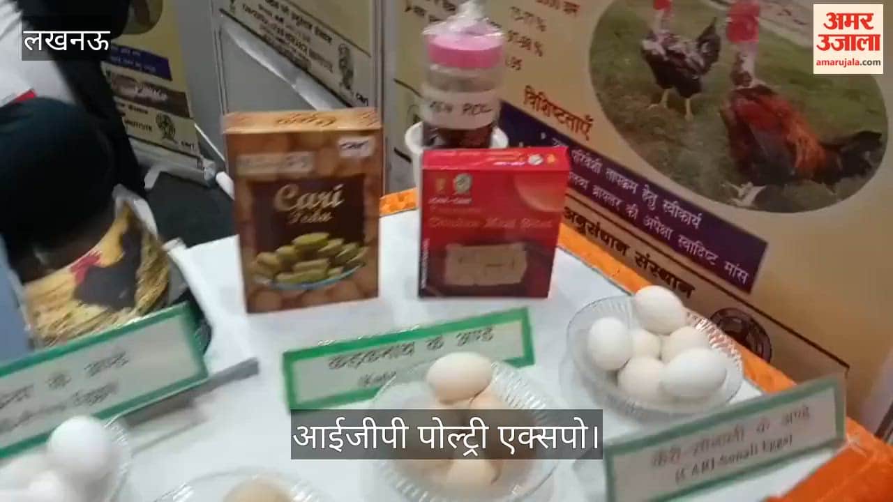 VIDEO: आईजीपी पोल्ट्री एक्सपो में सीएआरआई बरेली का स्टॉल आकर्षण का केंद्र, एमू-बटेर के अंडों ने खींचा ध्यान