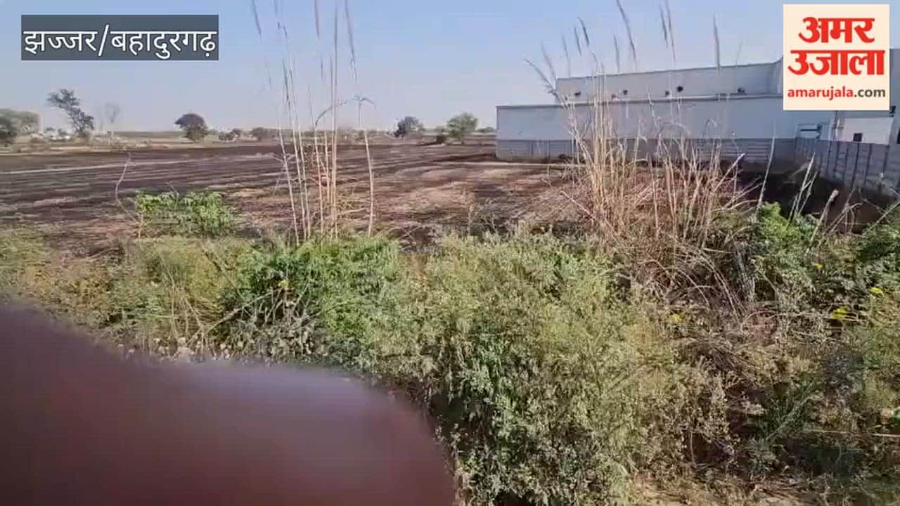 A massive fire broke out in the fields of Dulhera and Khedka.