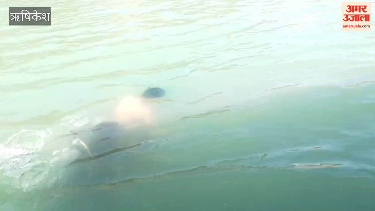 VIDEO: Youth from Almora Drowns in the Ganges While Bathing in Rishikesh