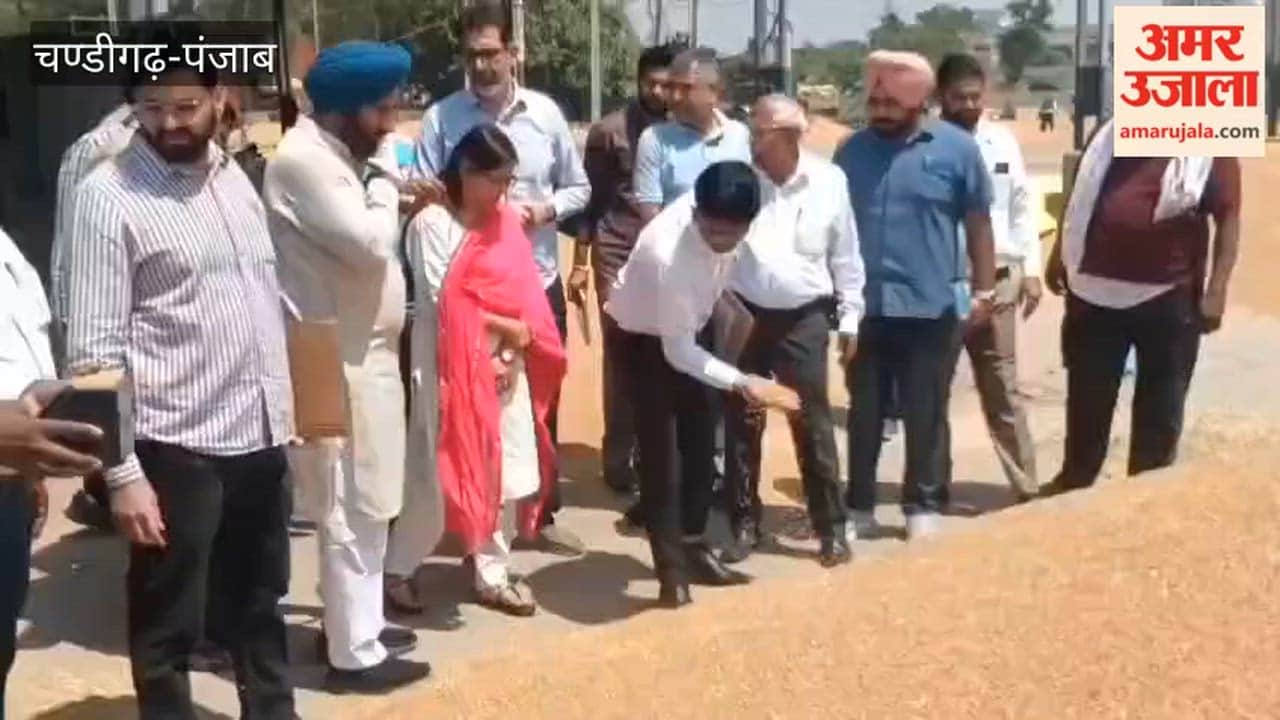 Govt procurement of wheat begins in Ferozepur