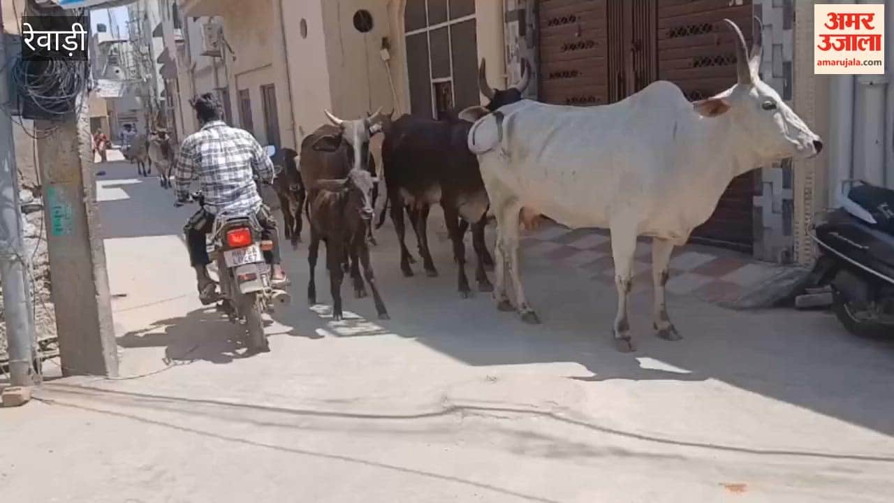 Lack of basic amenities in Ward-17