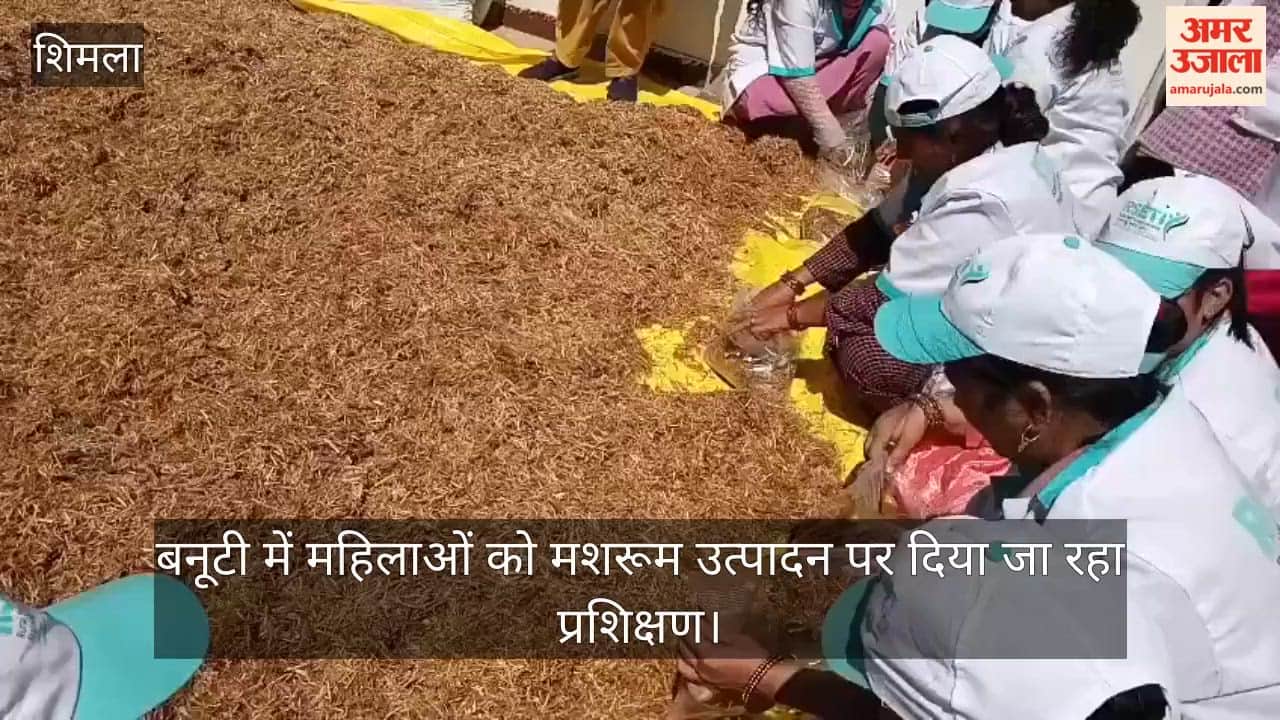 Women are being given training on mushroom production in Banuti.