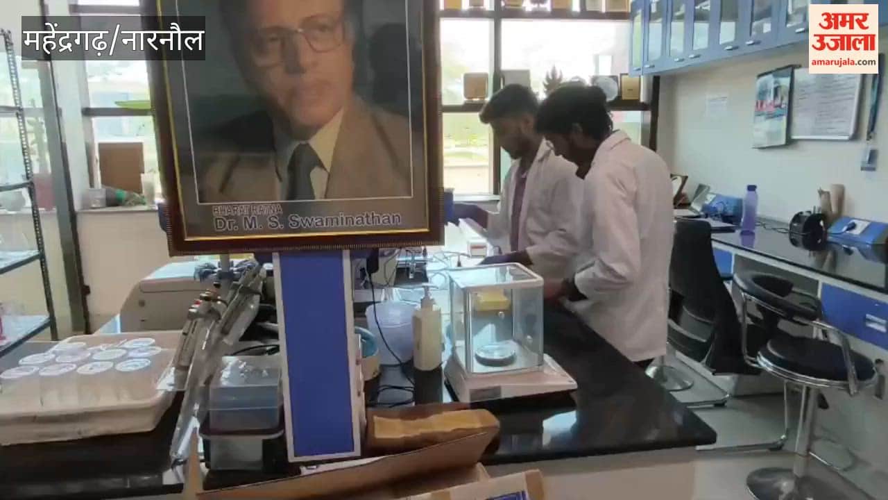 Silicate Solubilizing Bacteria Fertilizer will make barren land fertile