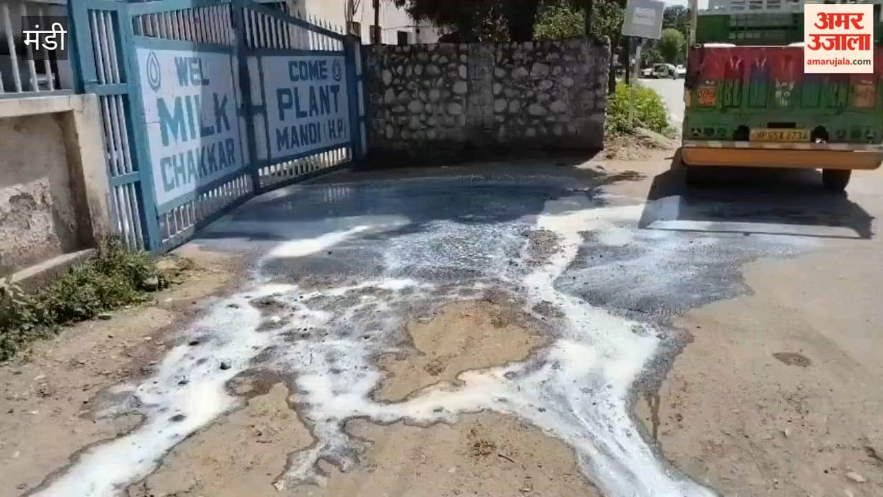 Video: Livestock Farmer Dumps 1,200 Liters of Milk at Milk Plant Gate in Mandi