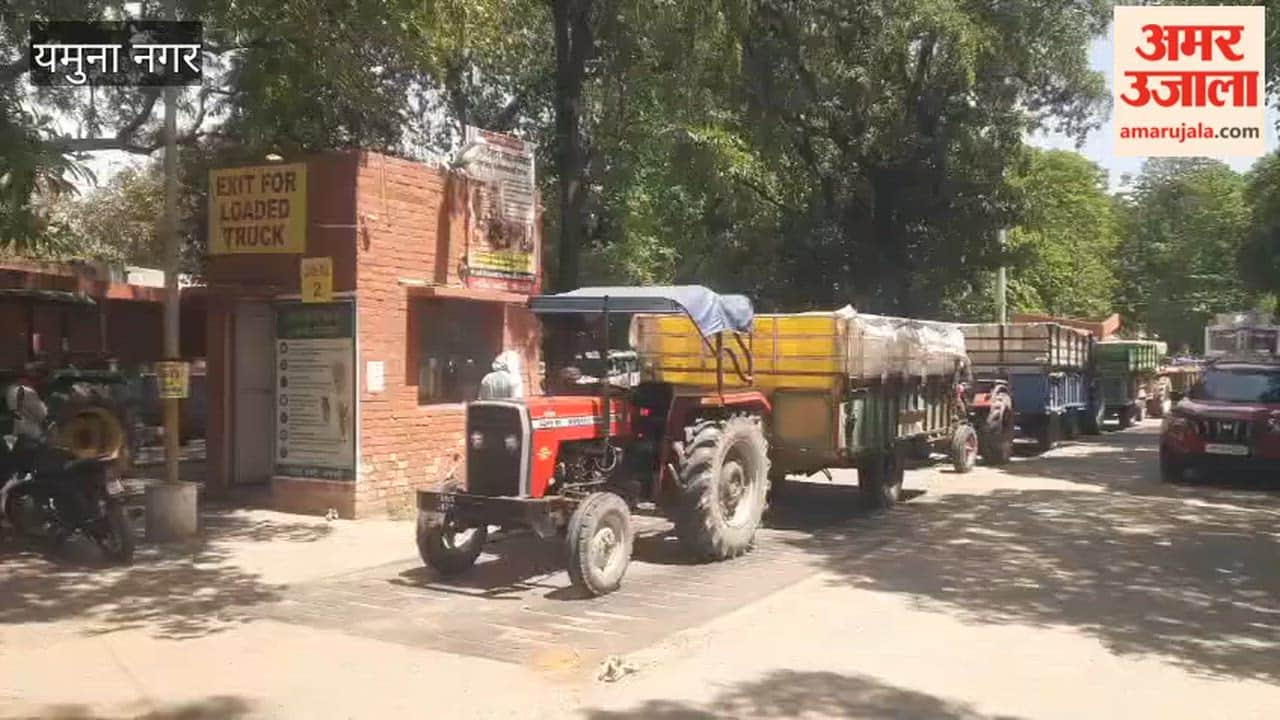 Government portal fails in grain markets