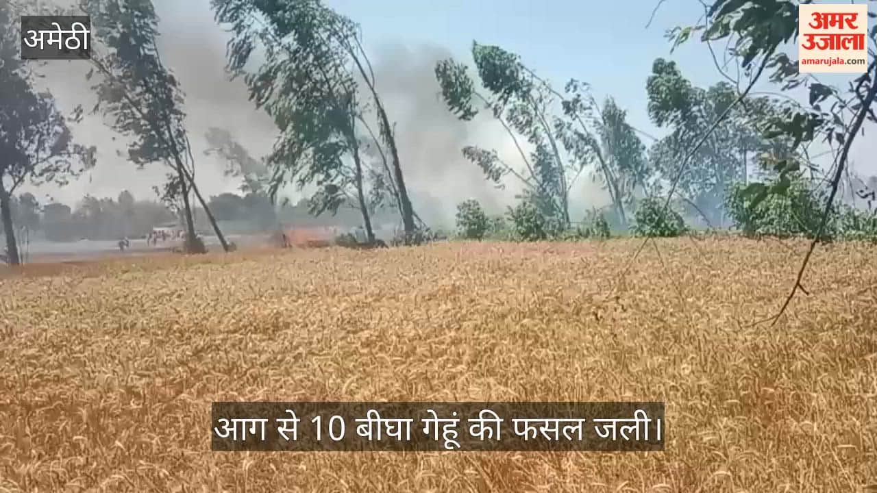 अमेठी में गेहूं की फसल में लगी आग, 10 बीघा जलकर राख