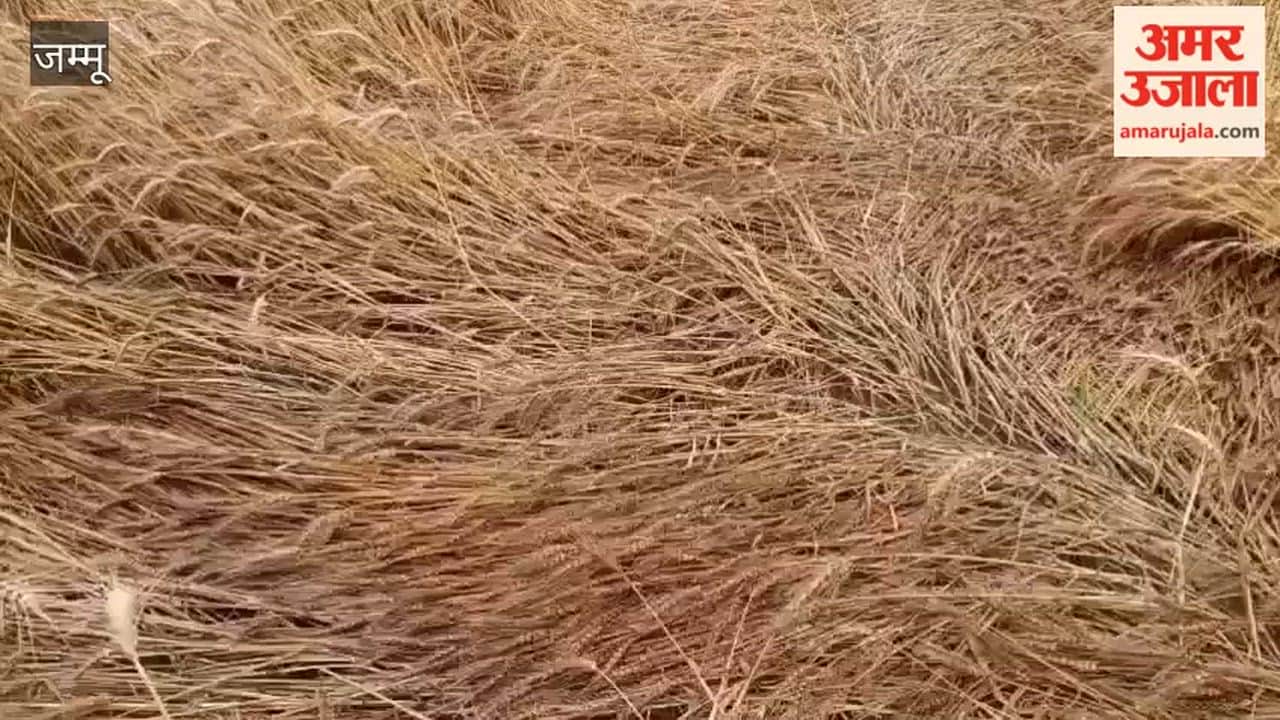 Fearing unseasonal rains, farmers accelerate harvesting, fields ablaze ahead of Baisakhi