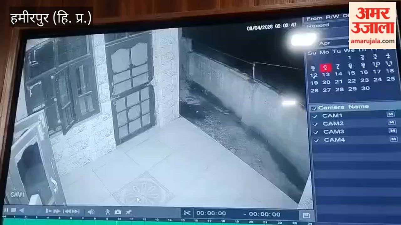Hamirpur: Leopard Terror in Uhl; Spotted Twice in a House Courtyard