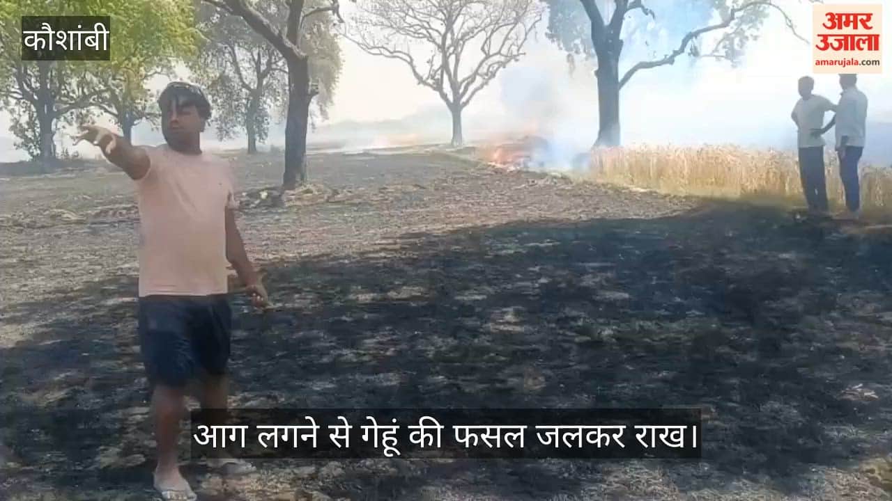 Wheat crop burnt to ashes due to fire, chaos prevails in Painsa area of Kaushambi