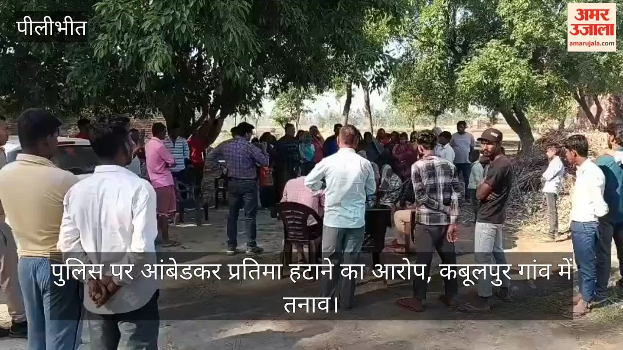 Police Accused of Removing Ambedkar Statue in Pilibhit