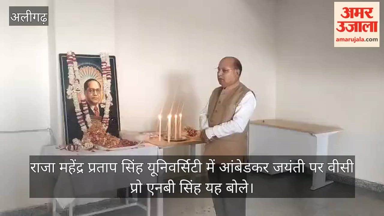 राजा महेंद्र प्रताप सिंह यूनिवर्सिटी में आंबेडकर जयंती पर वीसी प्रो एनबी सिंह यह बोले