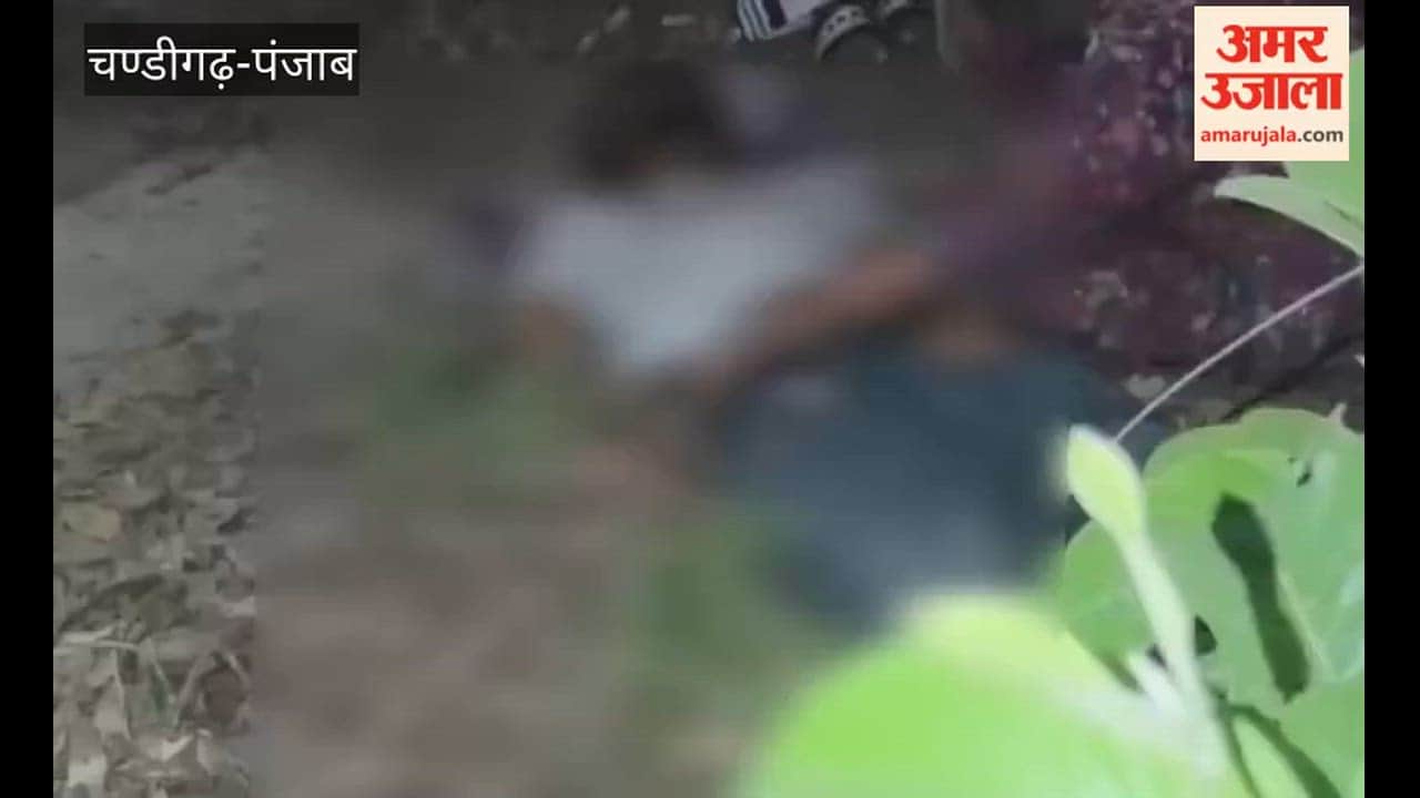 Youth Body Found Hanging from Tree in Moga