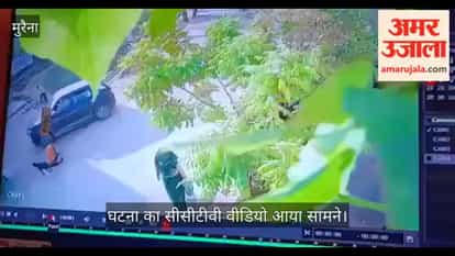 Elderly woman sitting in front of door crushed by car, dies