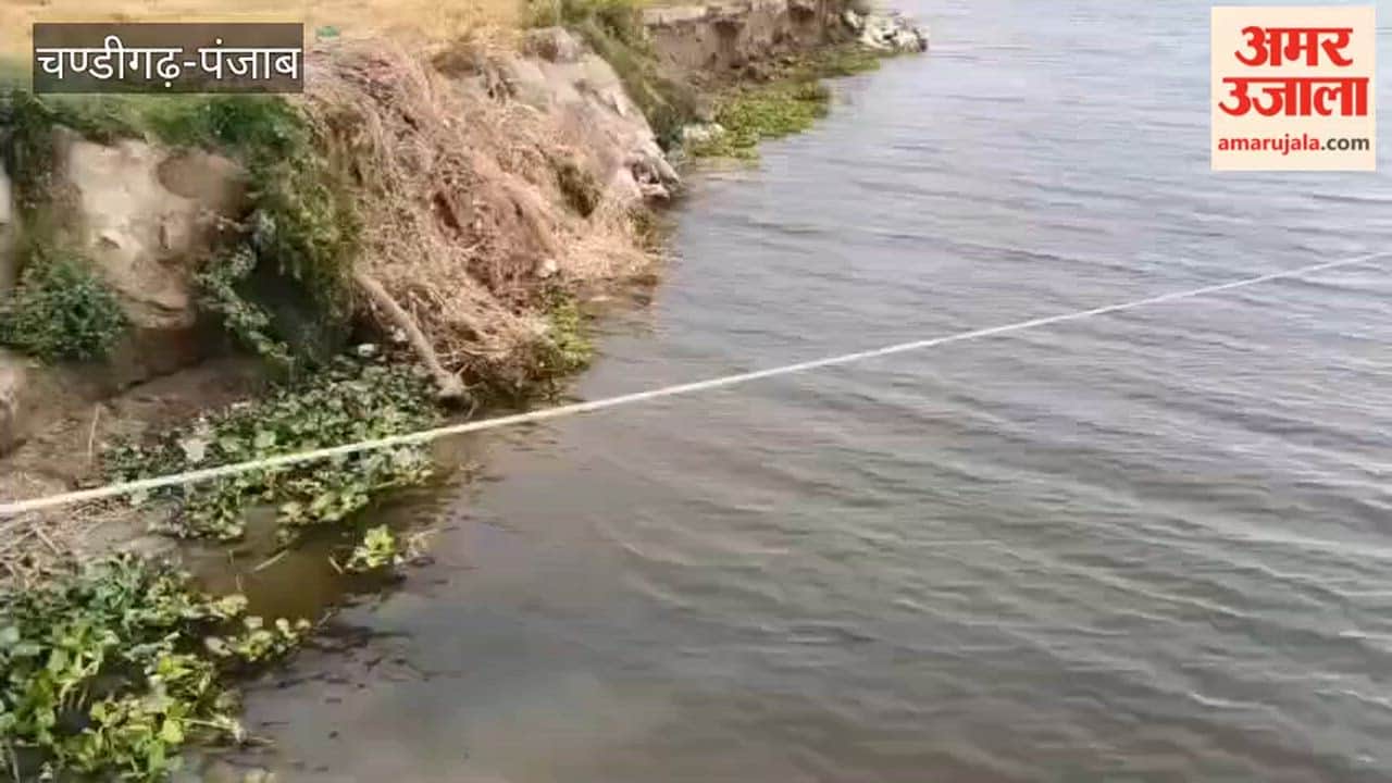 Effluent from Kasur's leather factories has reached India's Sutlej River, causing distress among the people.