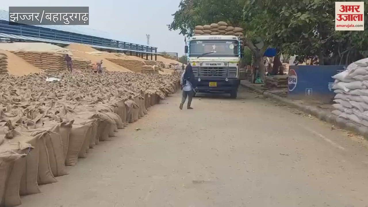 arrival of wheat in Jhajjar grain market is slow to lift