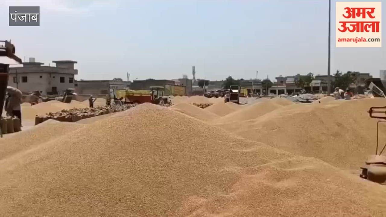 Farmers in Moga Mandis Distressed; Pace of Wheat Procurement Sluggish