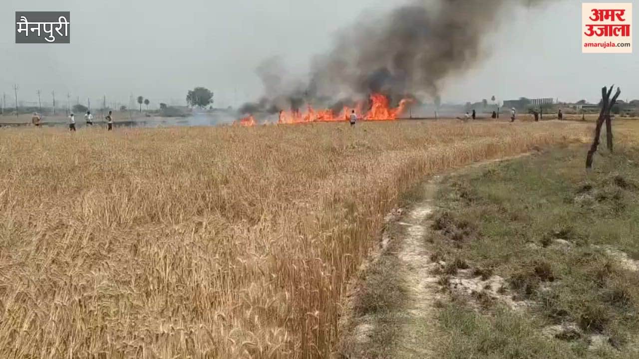 Fire breaks out in wheat crop in field