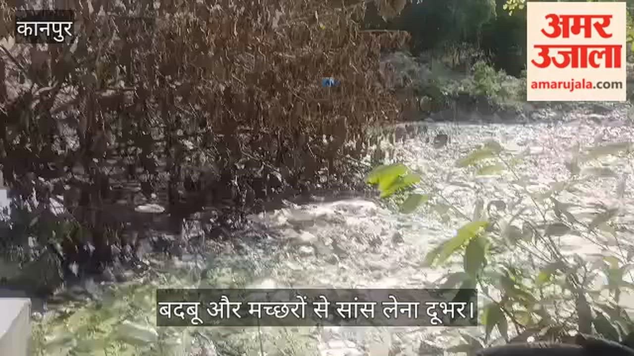 Kanpur Tree Uprooted by Storm Falls into Canal Causing Havoc Canal Now Teeming with Piles of Garbage