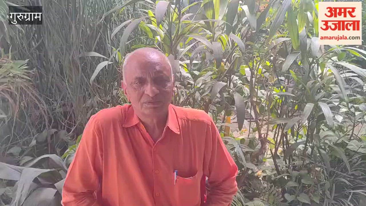 Demand for protection of archaeological remains of Aravalli