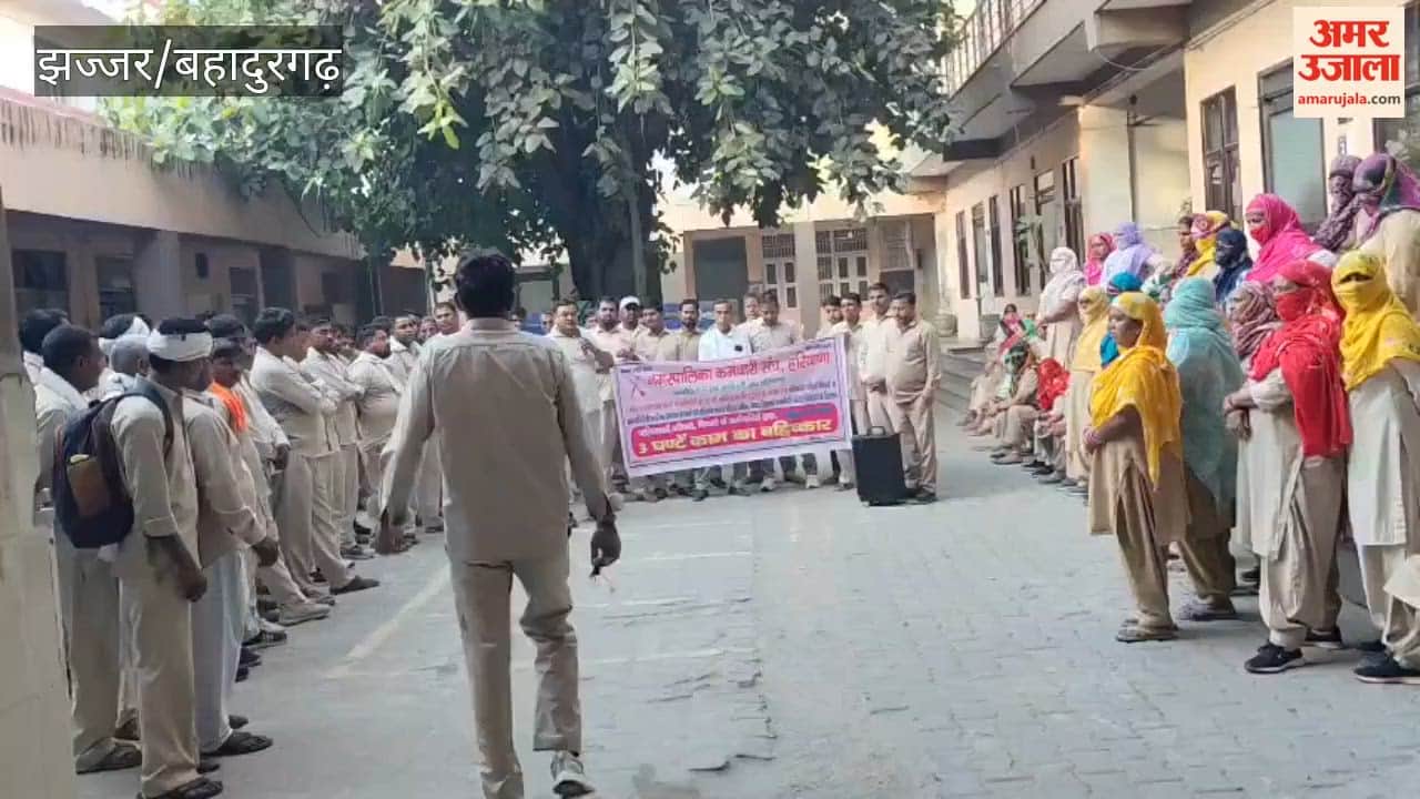 Municipal Council Employees in Bahadurgarh Stage 3-Hour Work Stoppage; Place Symbolic Lock on Office