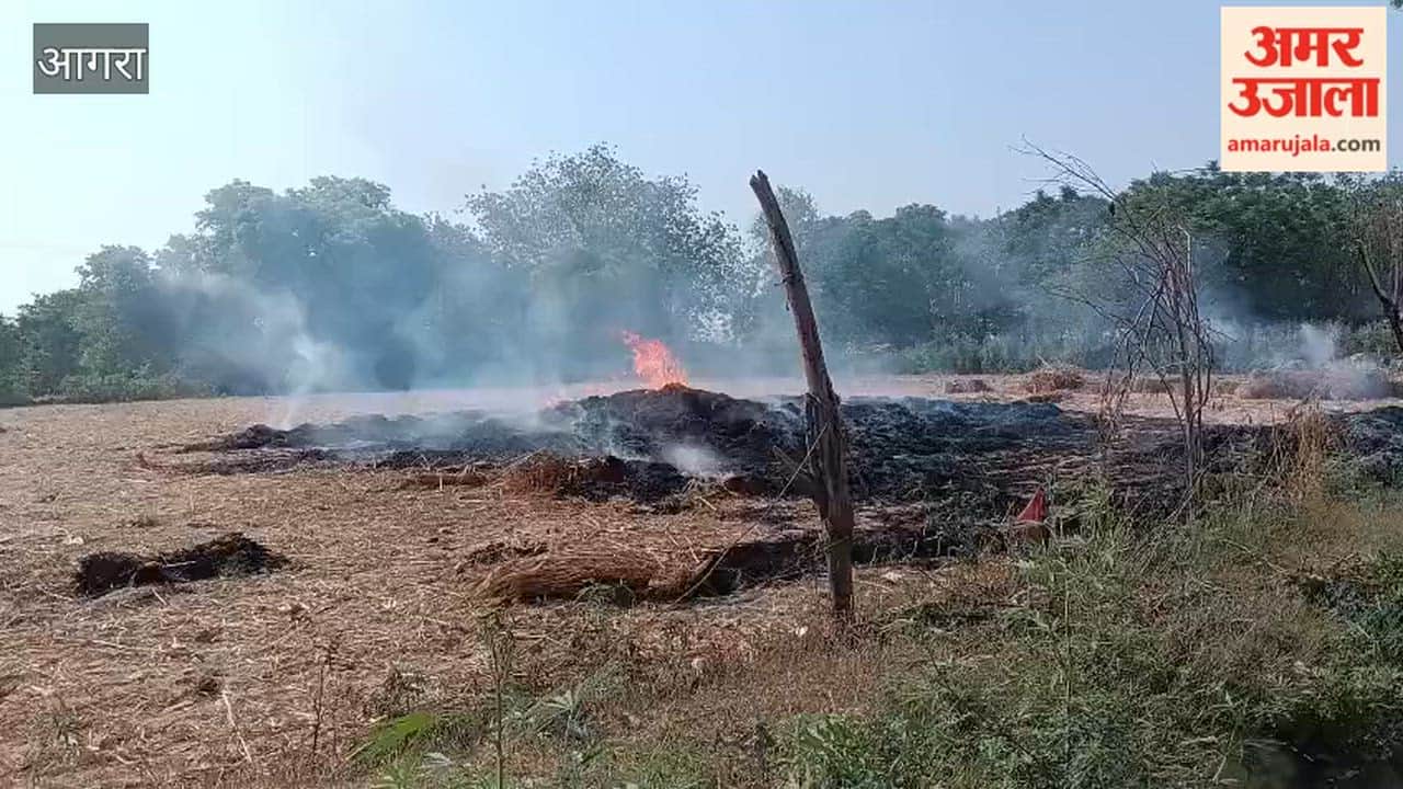 Wheat crop destroyed in fire farmer suffers heavy loss in Agra